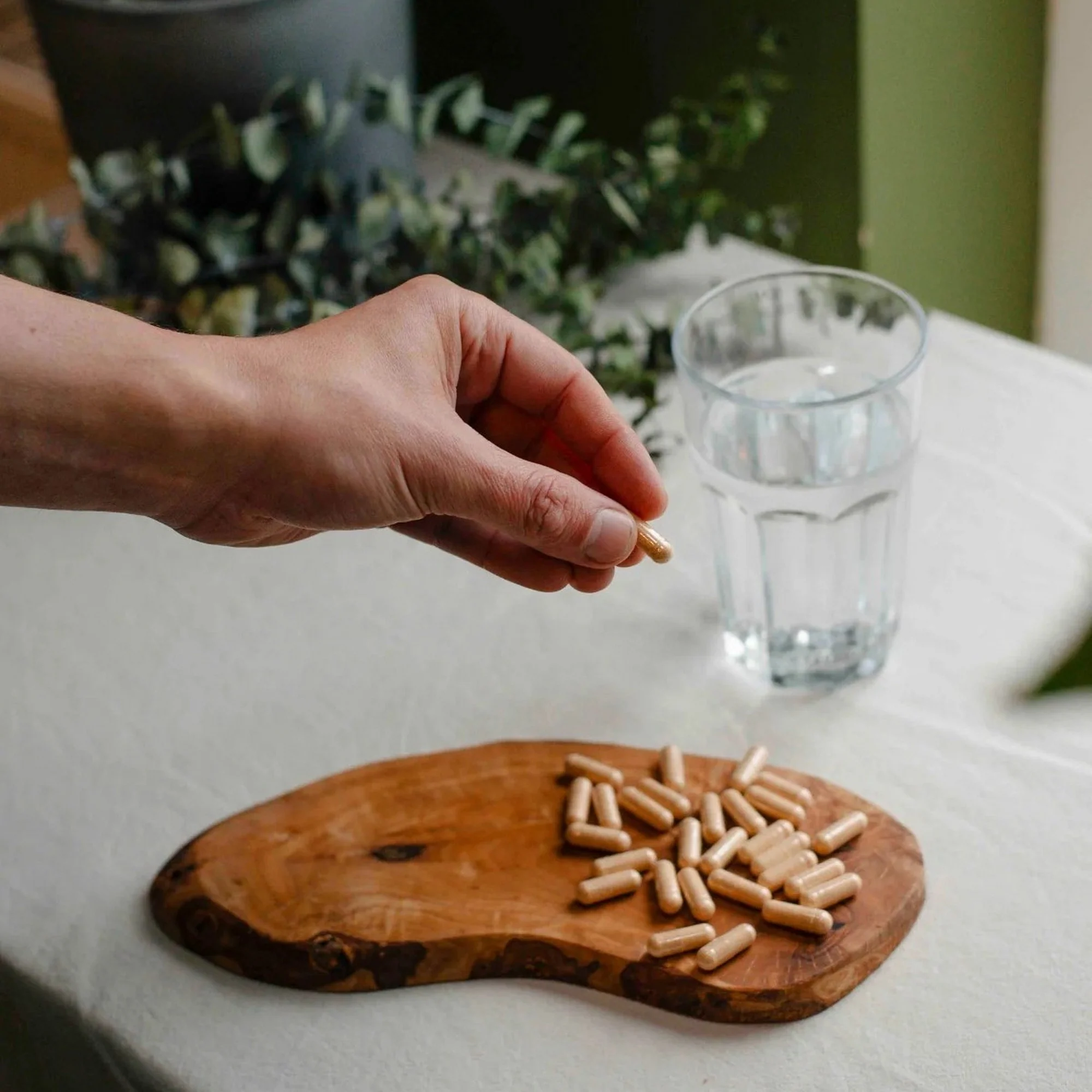 Emerald Farm Steps with Cordyceps - Image 3