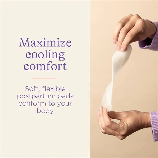 Lansinoh Padsicles Postpartum Pads - Image 3